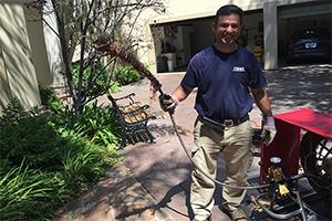 Twins Plumbing owner Vahan in Glendale with root