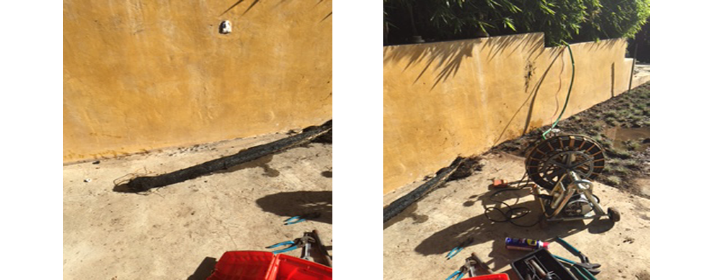 Backyard Rooter Service in Glendale