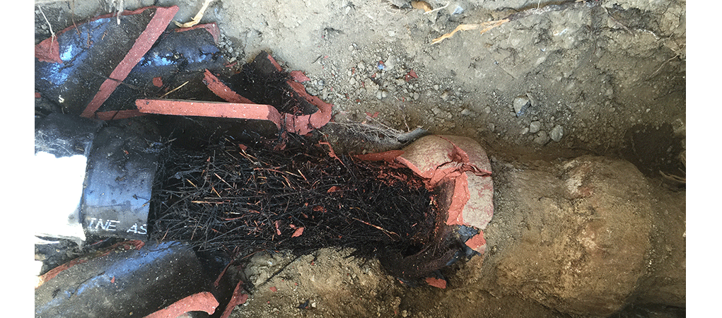 Rooter Service in Glendale