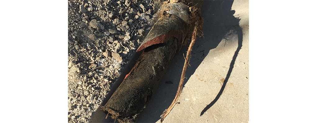 Rooter Services in Glendale