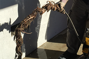 Twins Plumbing in Glendale rooter result