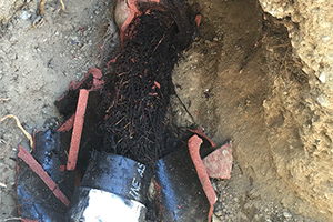 Sewer and drain cleaning in Glendale with Twins Plumbing